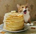 9544
